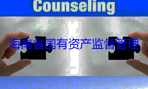 海南省国有委副书记王资产监督管查调查有福接受审理委员会党
